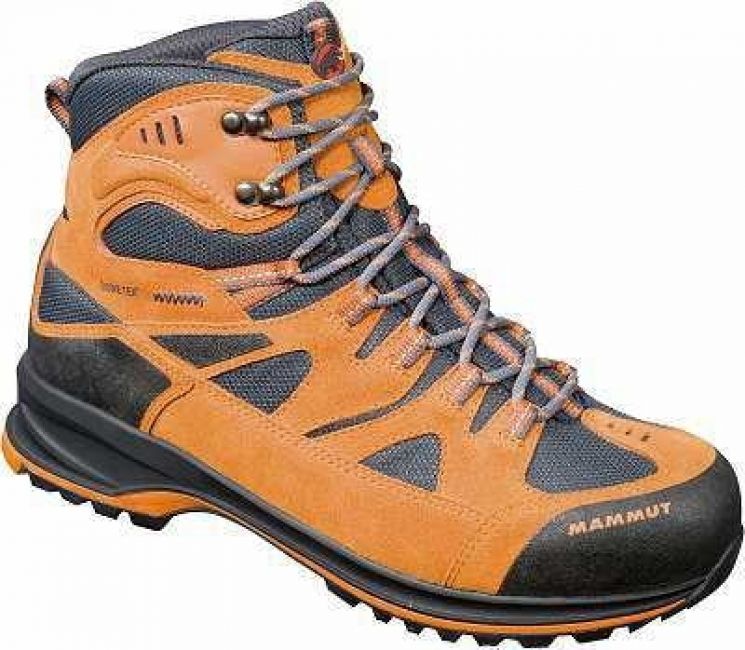 Mammut Teton GTX  2