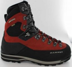 Mammut Meridian GTX Men