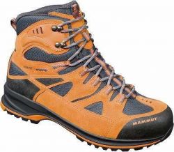 Mammut Teton GTX  2
