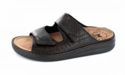 Mephisto James