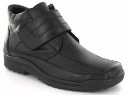 Waldl�ufer - Lugina 483901