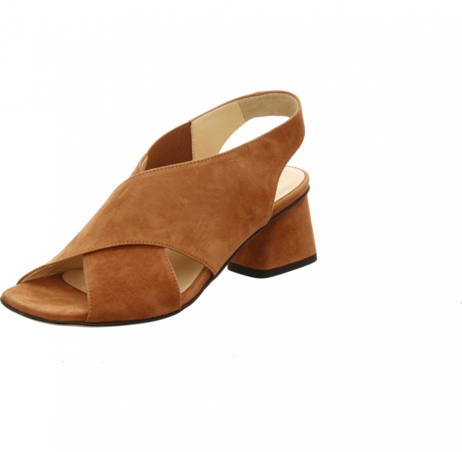 Brunate 59706