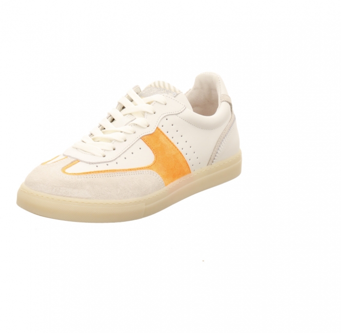 Floris van Bommel SFW 10096 Minni