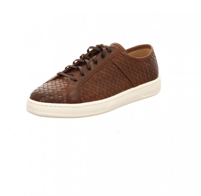 Franz Gustav Montreal