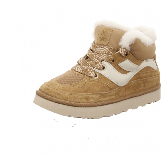 Lloyd 26 091 24 Seren camel