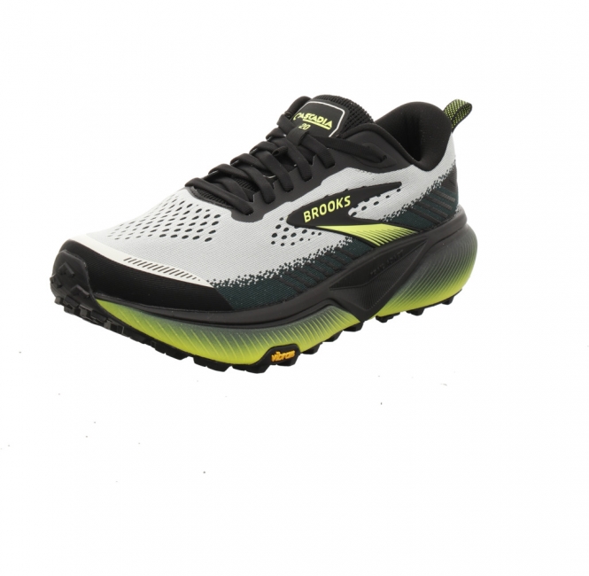 Brooks Cascadia 20