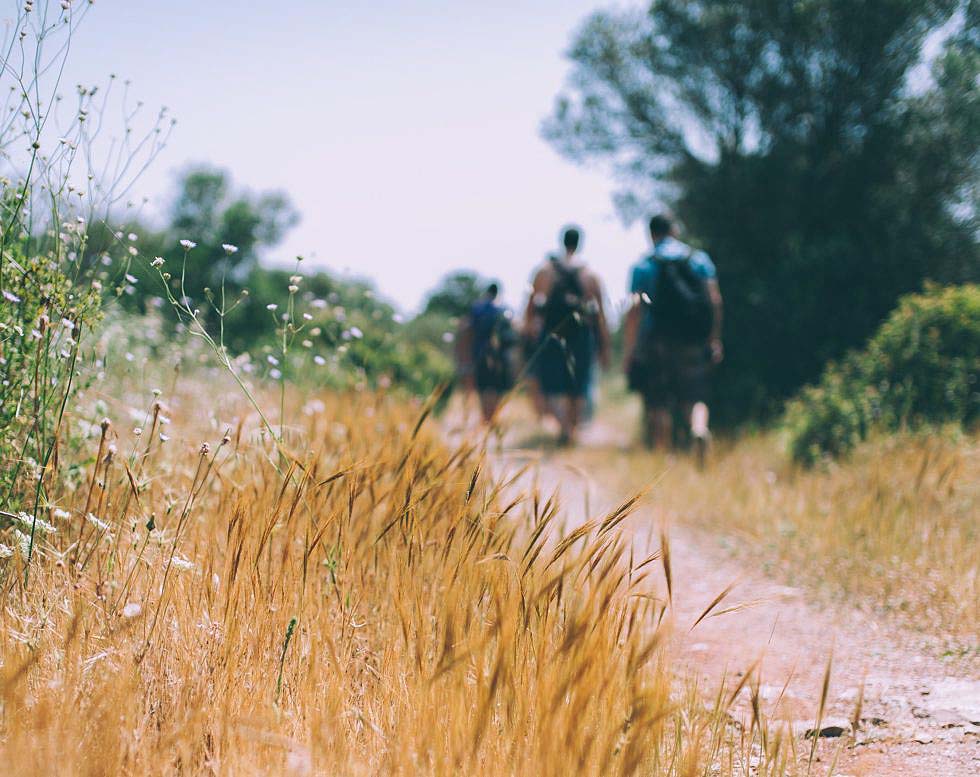 Richtig trainieren fürs Wandern