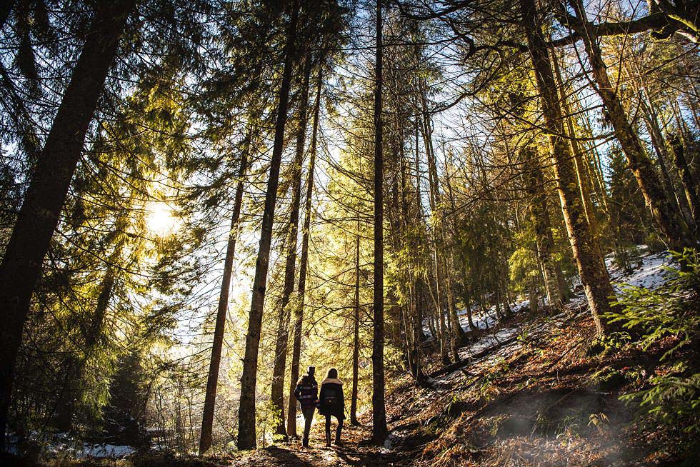 Wandern für die Gesundheit