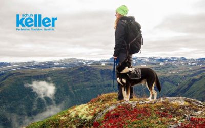 Wandern mit Hund – Tipps & Tricks für die Tour mit Hund