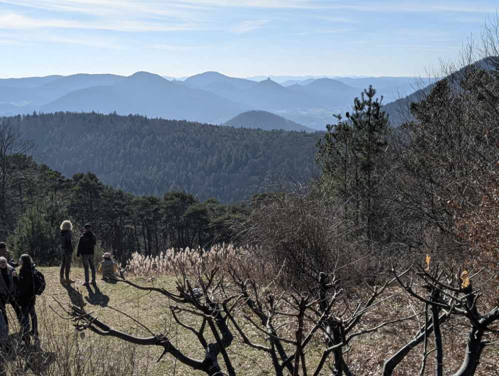 Schuh-Keller bietet einen hervorragenden Beratungsservice rund um Schuhe