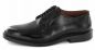 Preview: Alden 9901 Blucher
