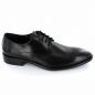 Preview: Galizio Torresi 319136