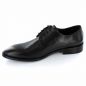 Preview: Galizio Torresi 319136