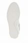 Preview: Attilio Giusti Leombruni D925026 pale