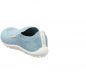 Preview: Leguano Scio mint
