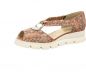 Preview: Brunate 39636