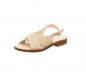 Preview: Werner Surfinia beige