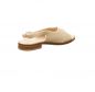 Preview: Werner Surfinia beige