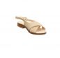 Preview: Werner Surfinia beige