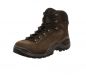 Preview: Lowa Renegade Evo Mid Men GTX braun
