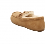 Preview: Haflinger Yumah