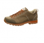 Preview: Dolomite 54 Low Fg EVO GTX Men grün