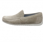 Preview: Sioux Rodimiro 700 Salvia