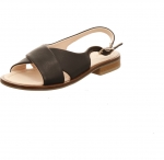 Preview: Werner Surfinia schwarz