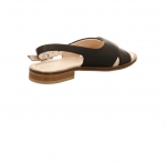 Preview: Werner Surfinia schwarz