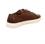 Preview: Franz Gustav Montreal