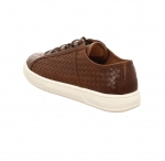 Preview: Franz Gustav Montreal