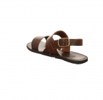 Preview: Werner Hortensie braun