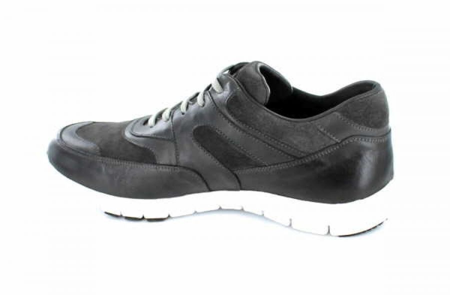 Galizio Torresi 315436 grau
