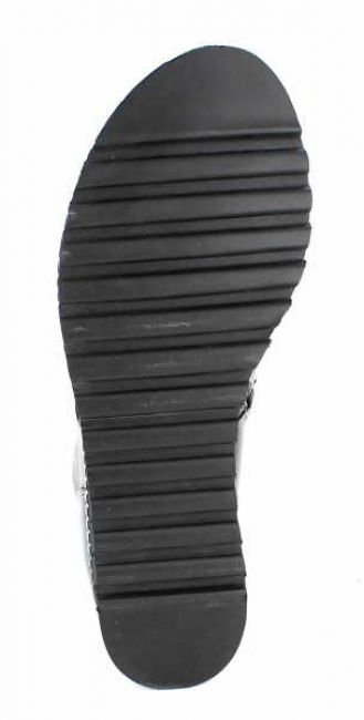 Accatino A5039