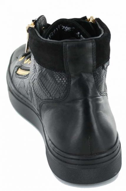 Preview: Mephisto Amber