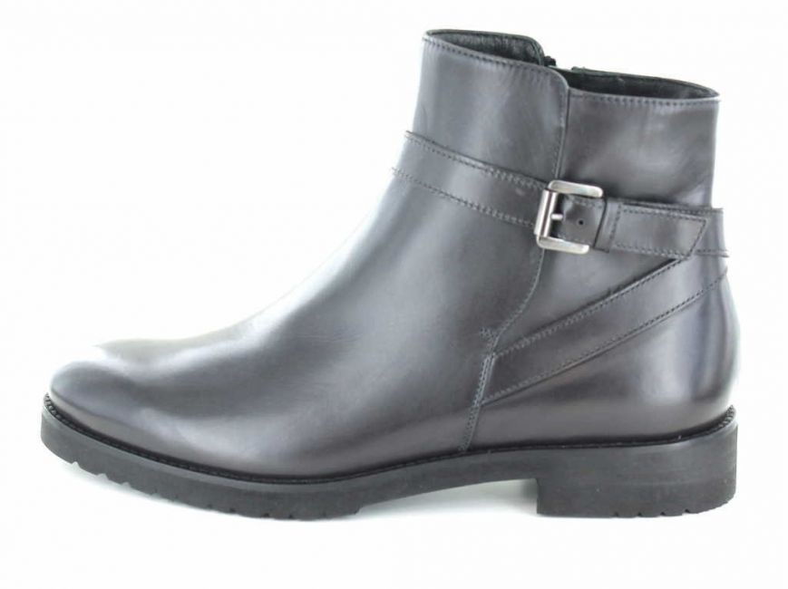 Accatino L126