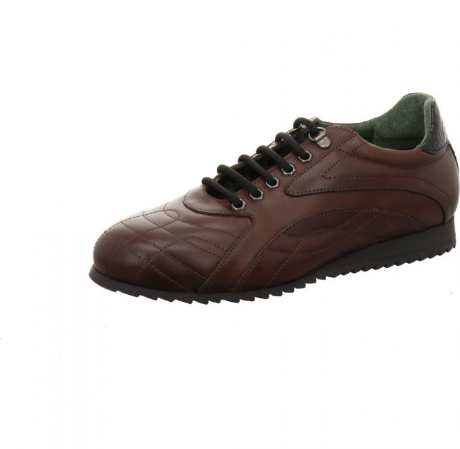 Galizio Torresi 312018 braun