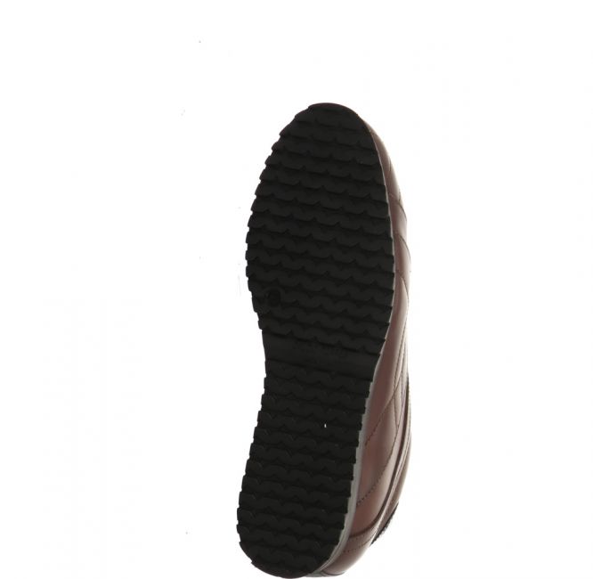 Galizio Torresi 312018 braun