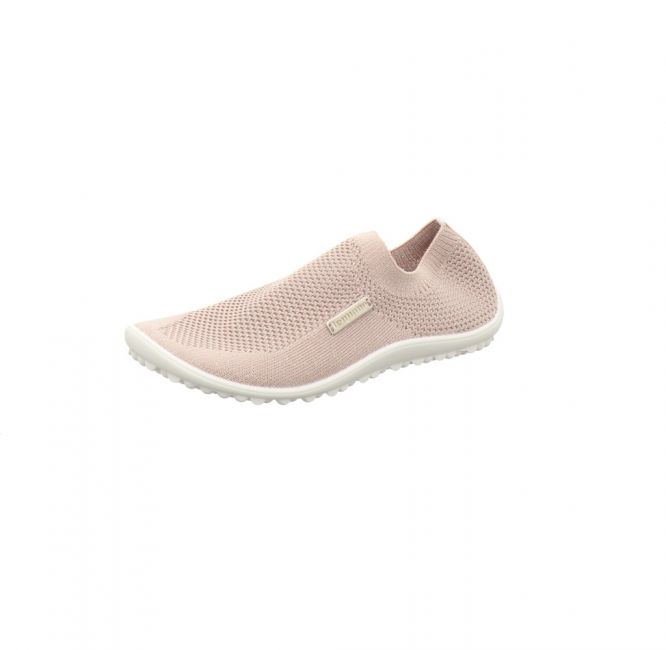 Leguano Scio rose
