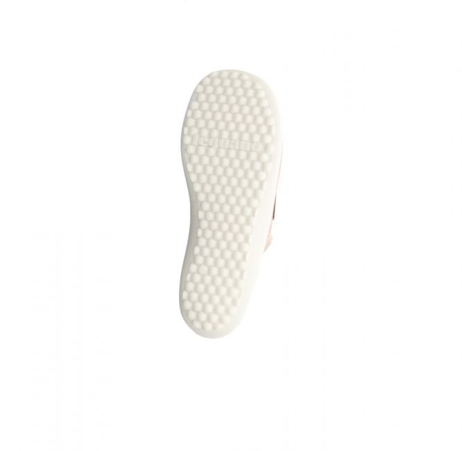 Leguano Scio rose
