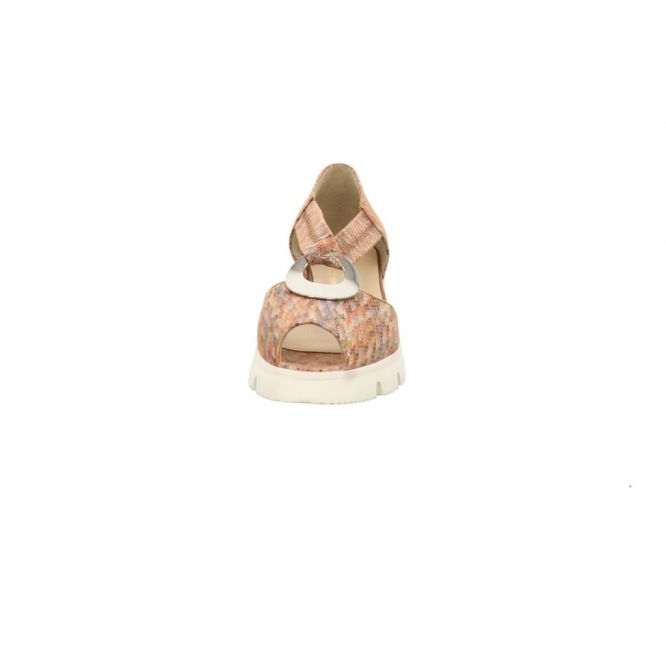 Brunate 39636