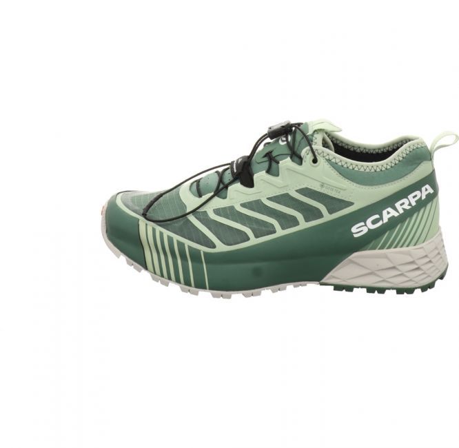 Scarpa Ribelle Run GTX Lady