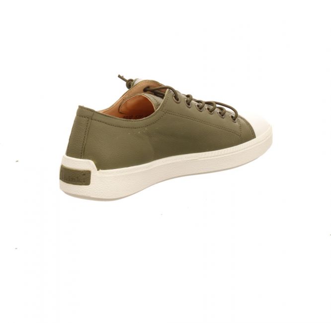 Think! Turna olive