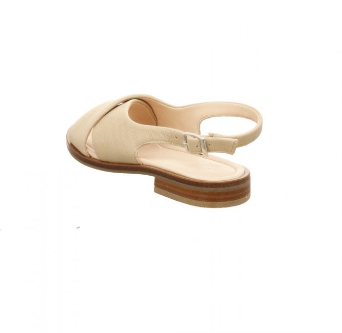 Werner Surfinia beige