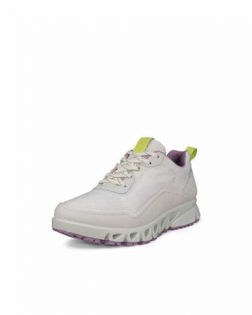 Ecco Multi-Vent Gtxs Tex