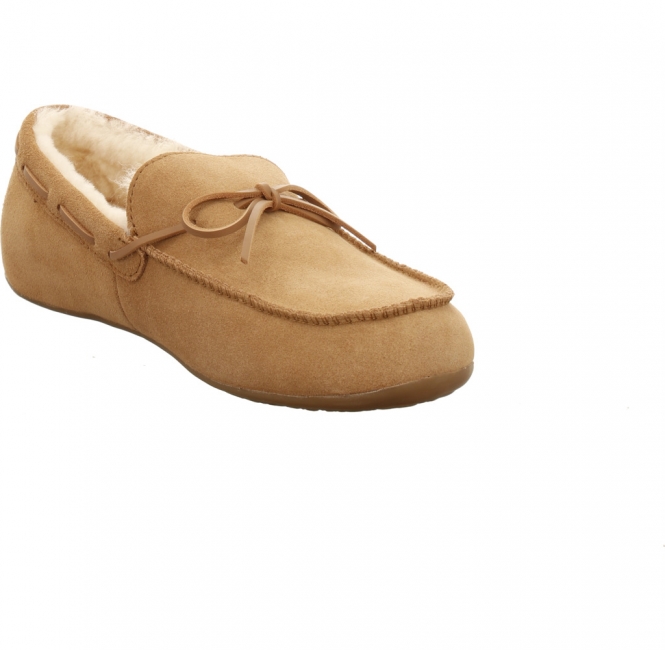 Haflinger Yumah
