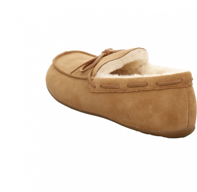 Haflinger Yumah