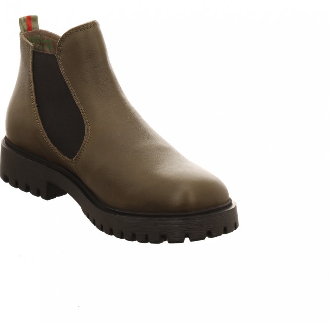 Think! Trento olive