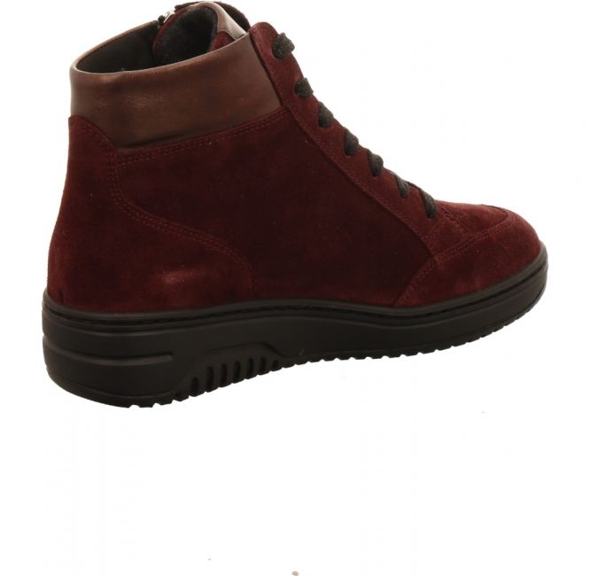 Hartjes 172 1707/36 bordo
