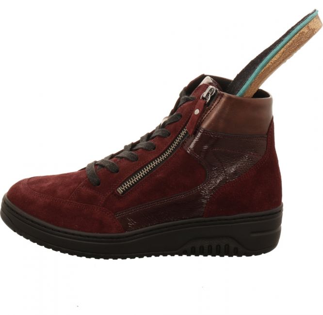 Hartjes 172 1707/36 bordo
